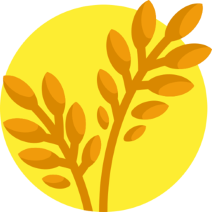 Ration Card 2026: Apply Online, Download, Status, List, eKYC & Aadhaar Link